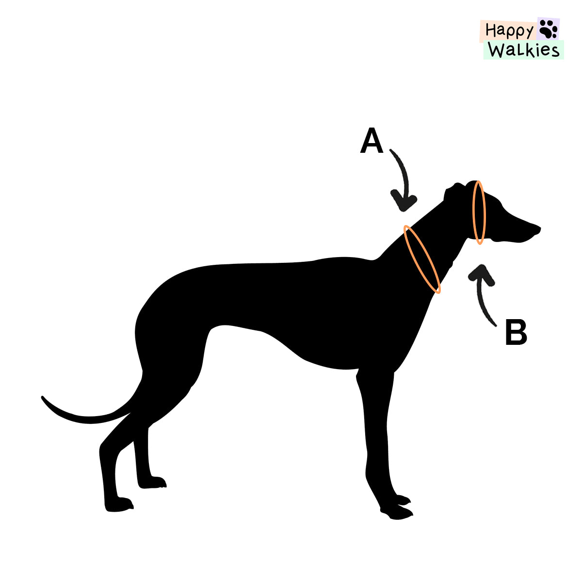 Collar Martingale