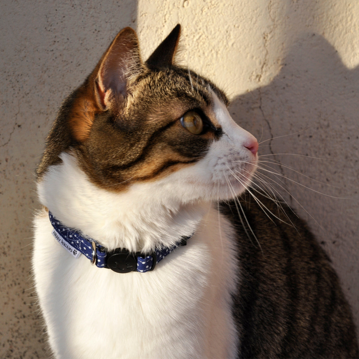 Collar para gato classic blue