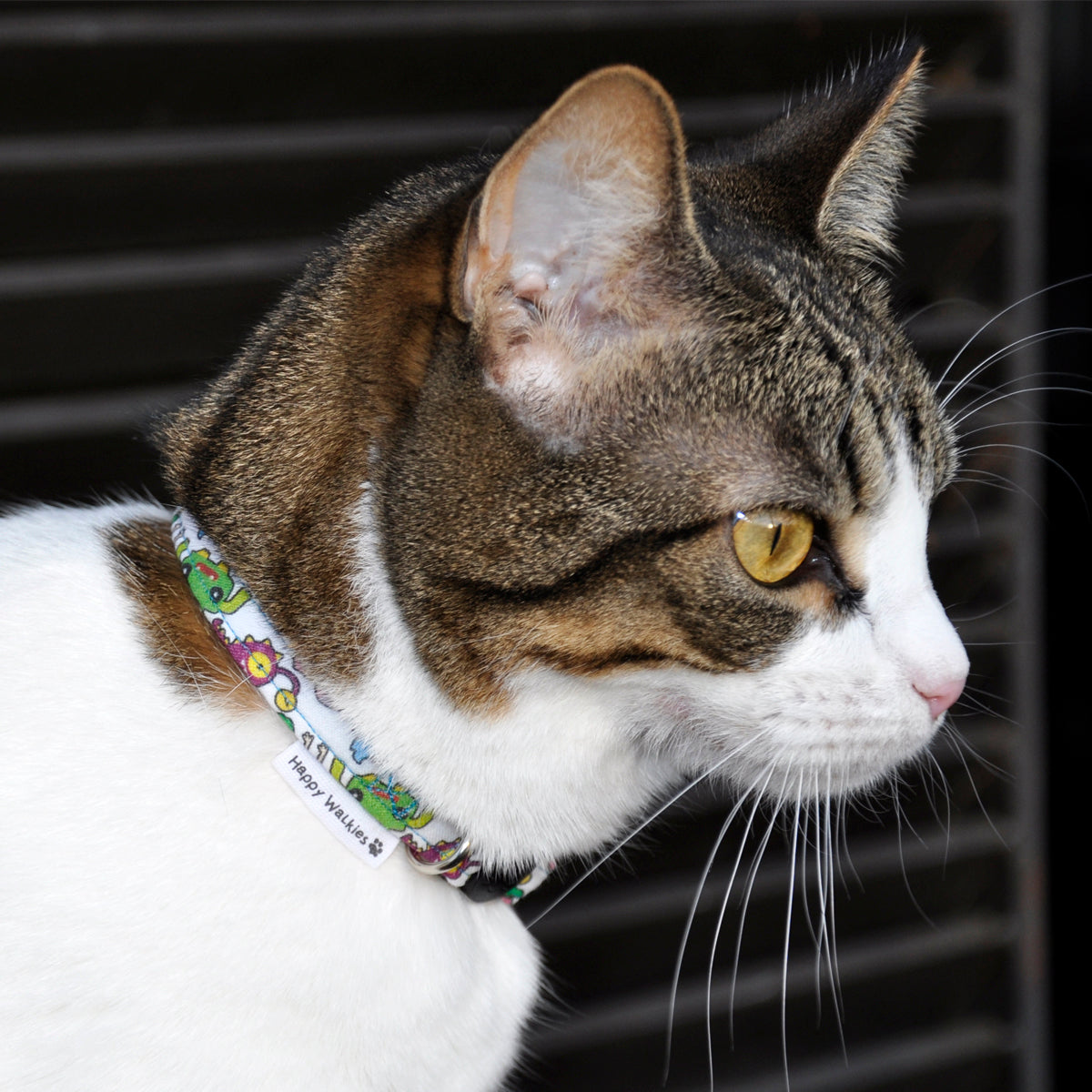 Collar Gato Little Monsters