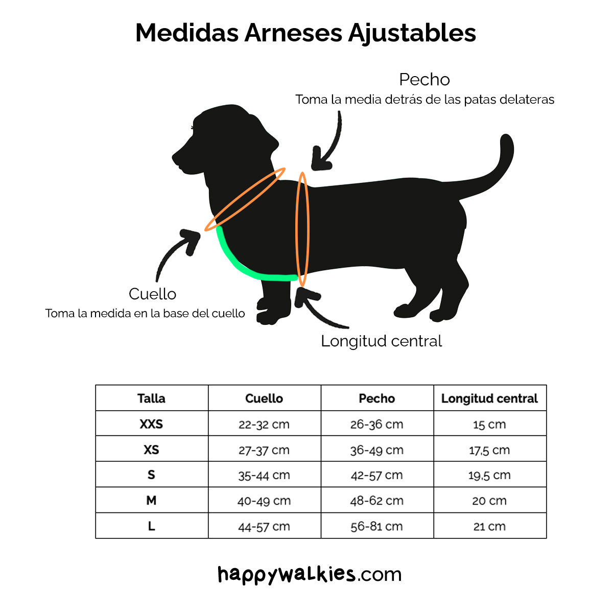 Arnés ajustable Night Sky