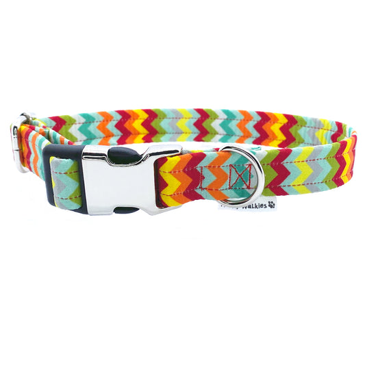 Collar perro Colorful