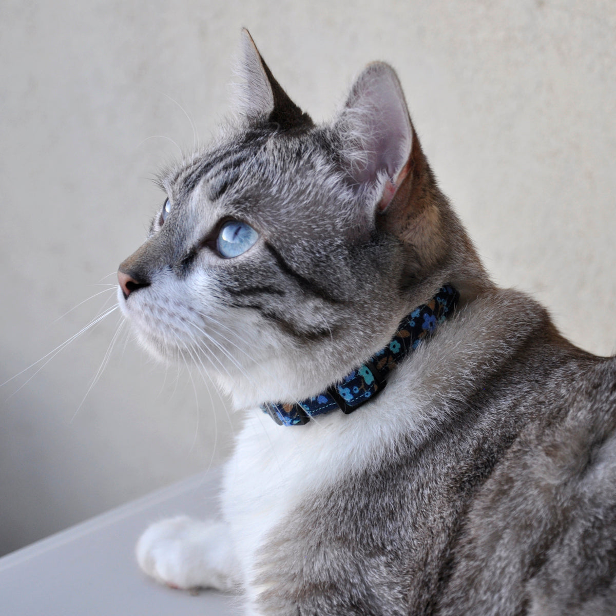 Collar gato Lobelia